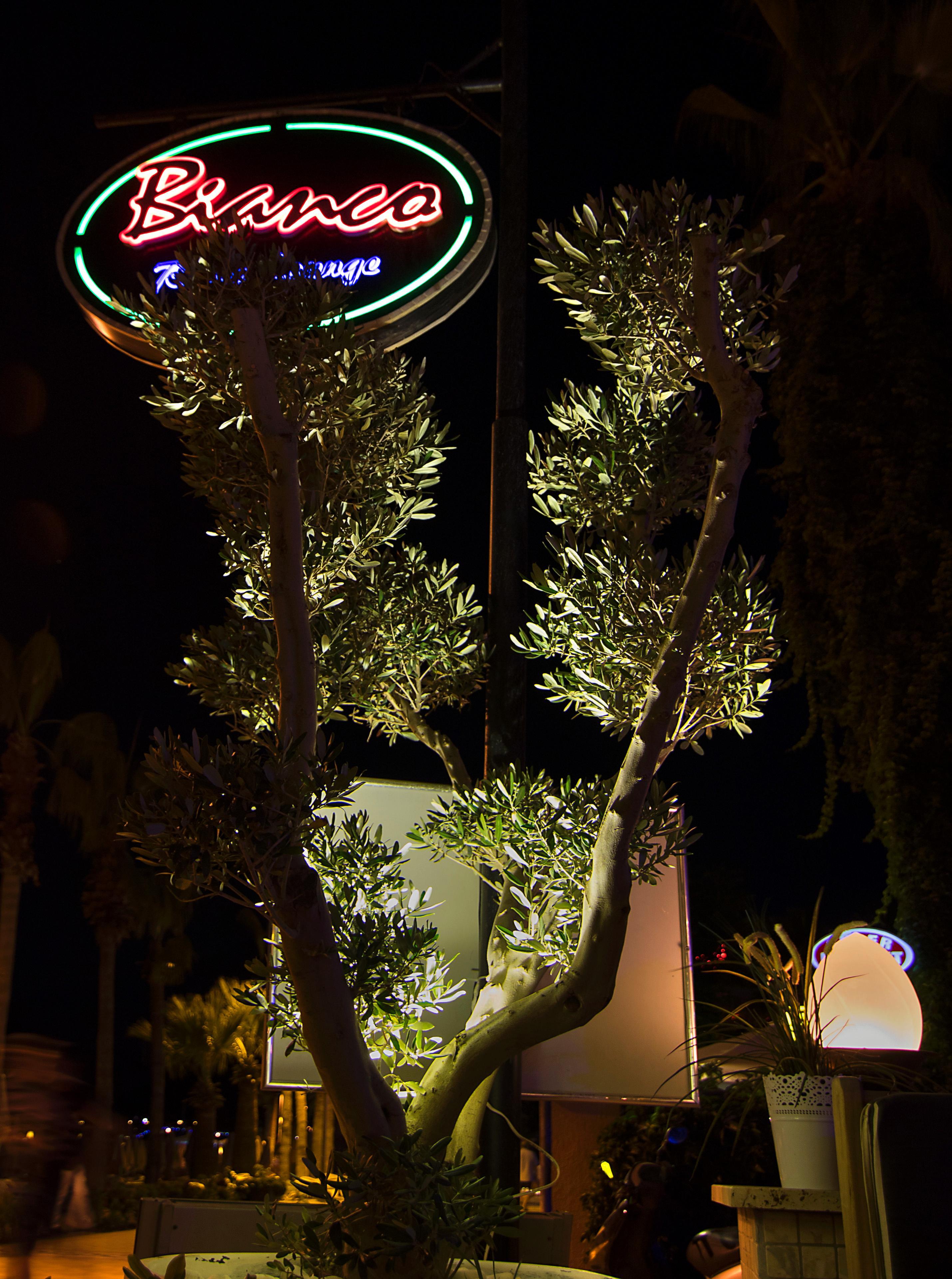 Romance Beach Hotel Marmaris Exterior photo